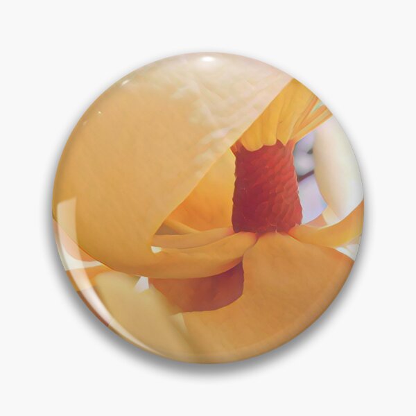 Item preview, Magnolia in the Sunshine - Flower Photography designed and sold by MistyMorningsOR.