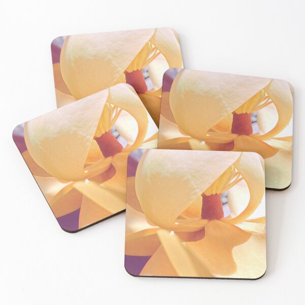 Item preview, Magnolia in the Sunshine - Flower Photography designed and sold by MistyMorningsOR.