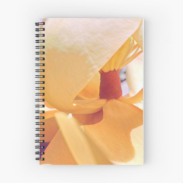 Item preview, Magnolia in the Sunshine - Flower Photography designed and sold by MistyMorningsOR.