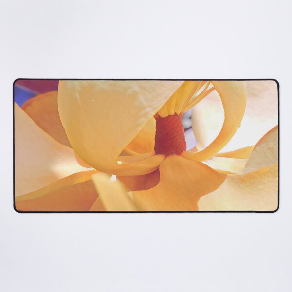 Item preview, Magnolia in the Sunshine - Flower Photography designed and sold by MistyMorningsOR.