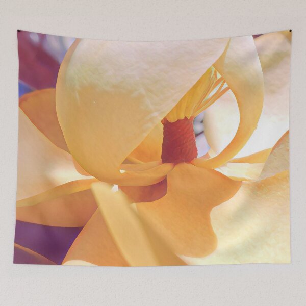 Item preview, Magnolia in the Sunshine - Flower Photography designed and sold by MistyMorningsOR.