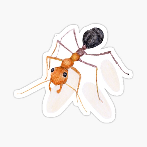 Ant Daycare Sticker