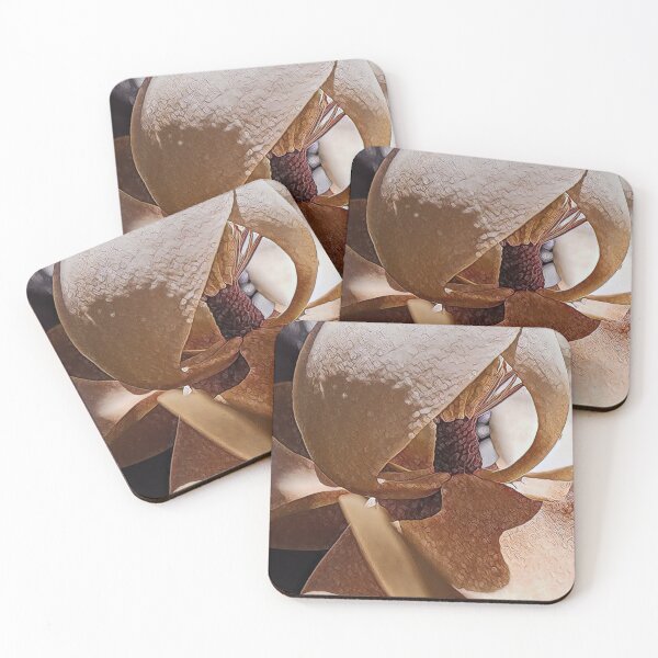 Item preview, Swirly Magnolia- Flower Photography designed and sold by MistyMorningsOR.