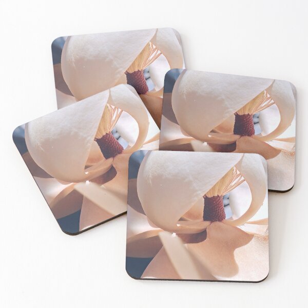 Item preview, Soft Hues Magnolia- Flower Photography designed and sold by MistyMorningsOR.