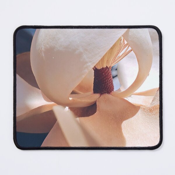 Item preview, Soft Hues Magnolia- Flower Photography designed and sold by MistyMorningsOR.