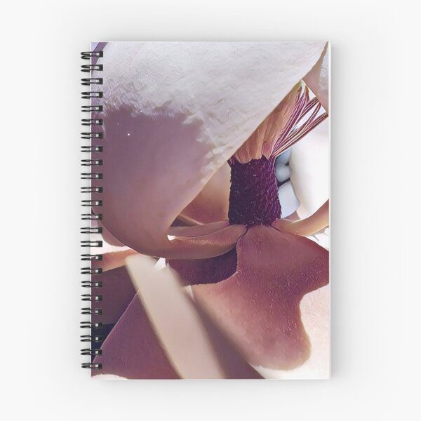 Item preview, Shaded Magnolia in the Sunshine - Flower Photography designed and sold by MistyMorningsOR.