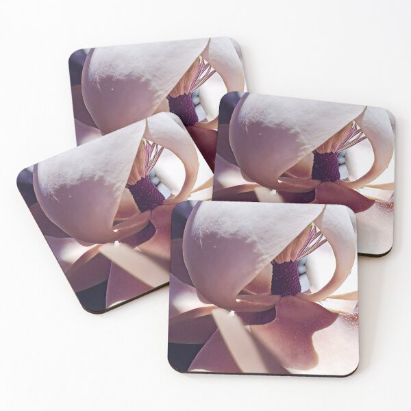 Item preview, Shaded Magnolia in the Sunshine - Flower Photography designed and sold by MistyMorningsOR.