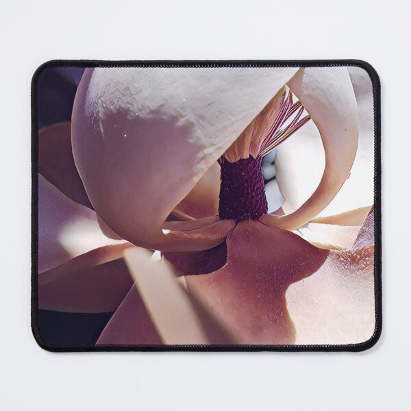 Item preview, Shaded Magnolia in the Sunshine - Flower Photography designed and sold by MistyMorningsOR.