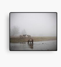 Crossing the water Canvas Print