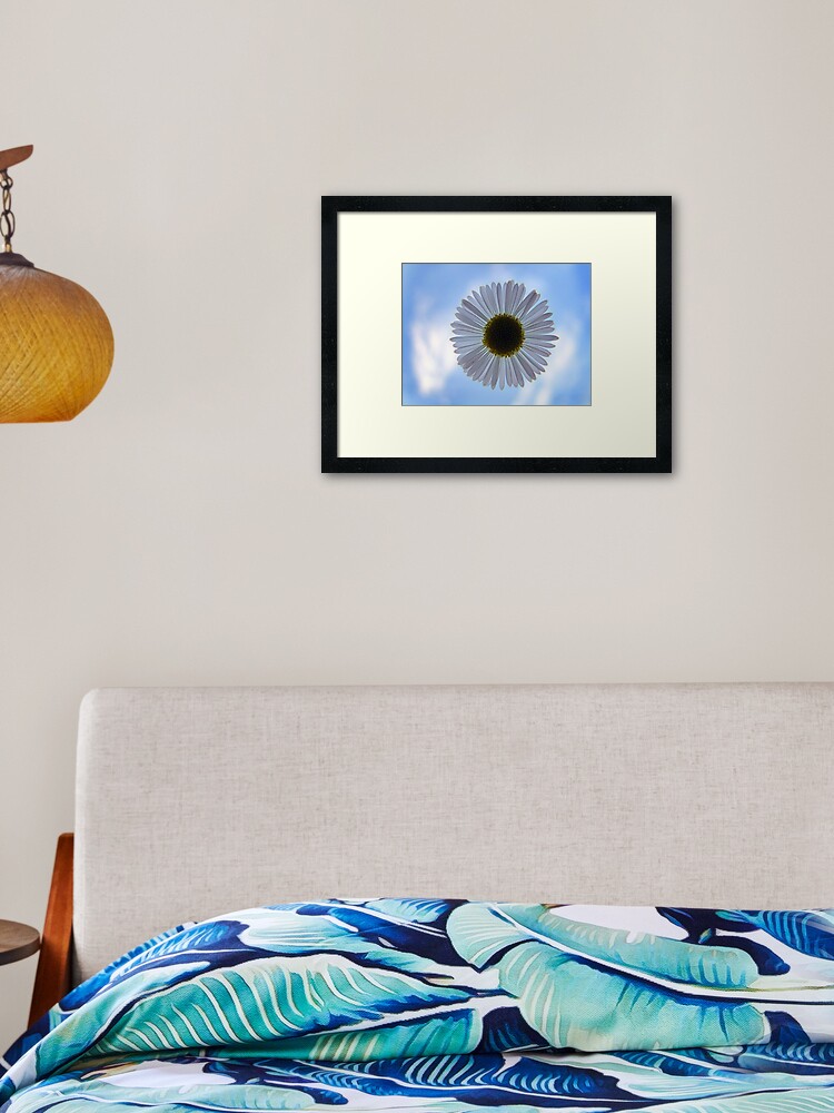 Thumbnail 2 of 7, Framed Art Print, Daisy in the Sky designed and sold by theoddshot.