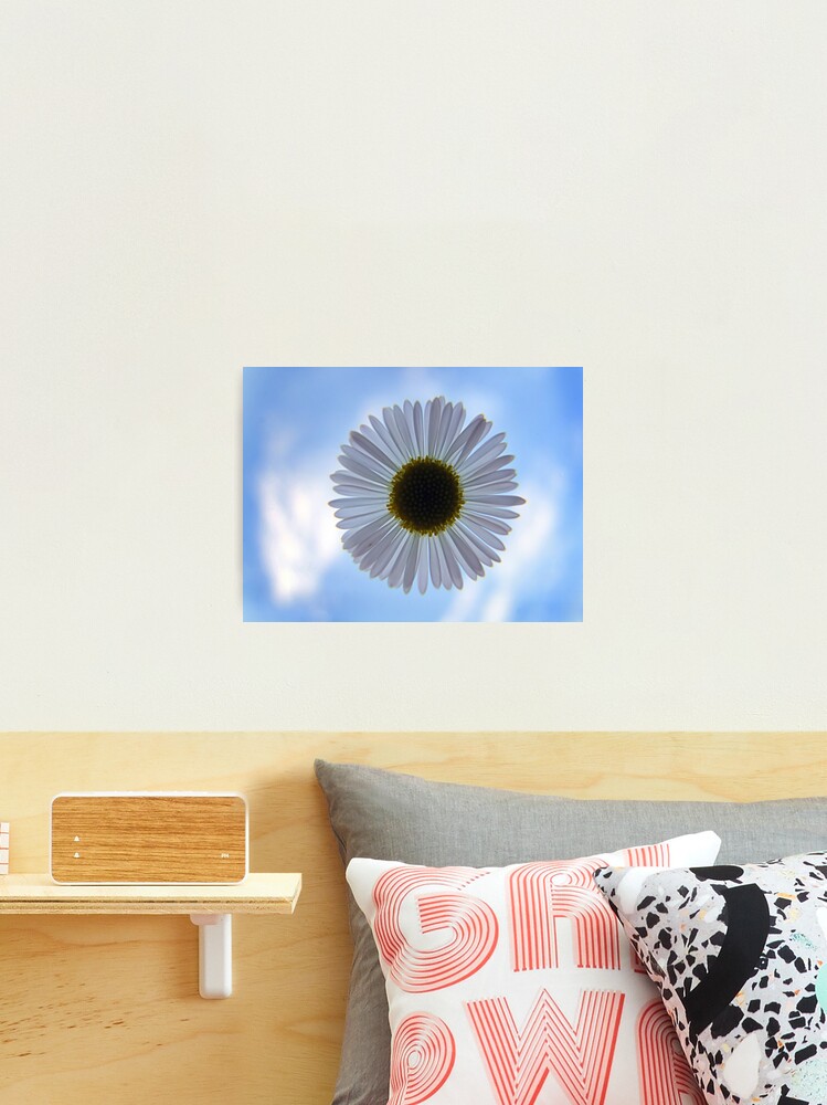 Thumbnail 1 of 3, Photographic Print, Daisy in the Sky designed and sold by theoddshot.