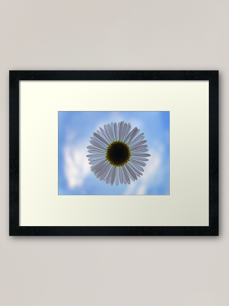 Thumbnail 1 of 7, Framed Art Print, Daisy in the Sky designed and sold by theoddshot.