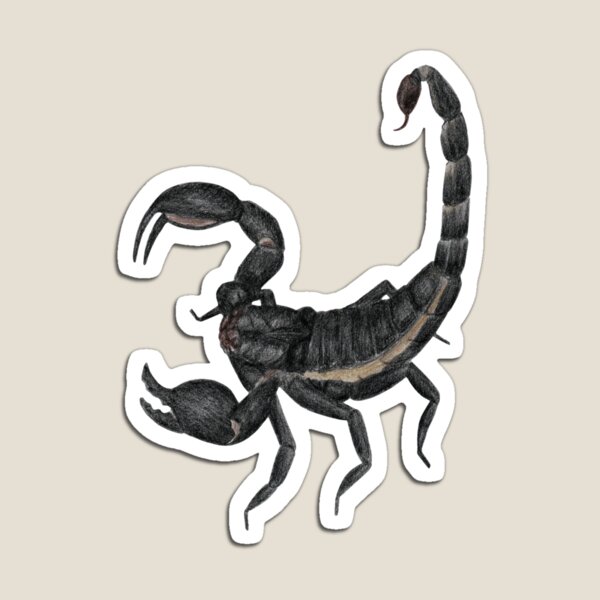 Black Scorpion Magnet