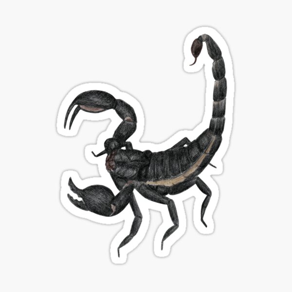 Black Scorpion Sticker