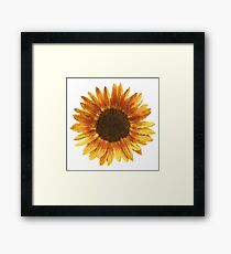 Sunflower Framed Print