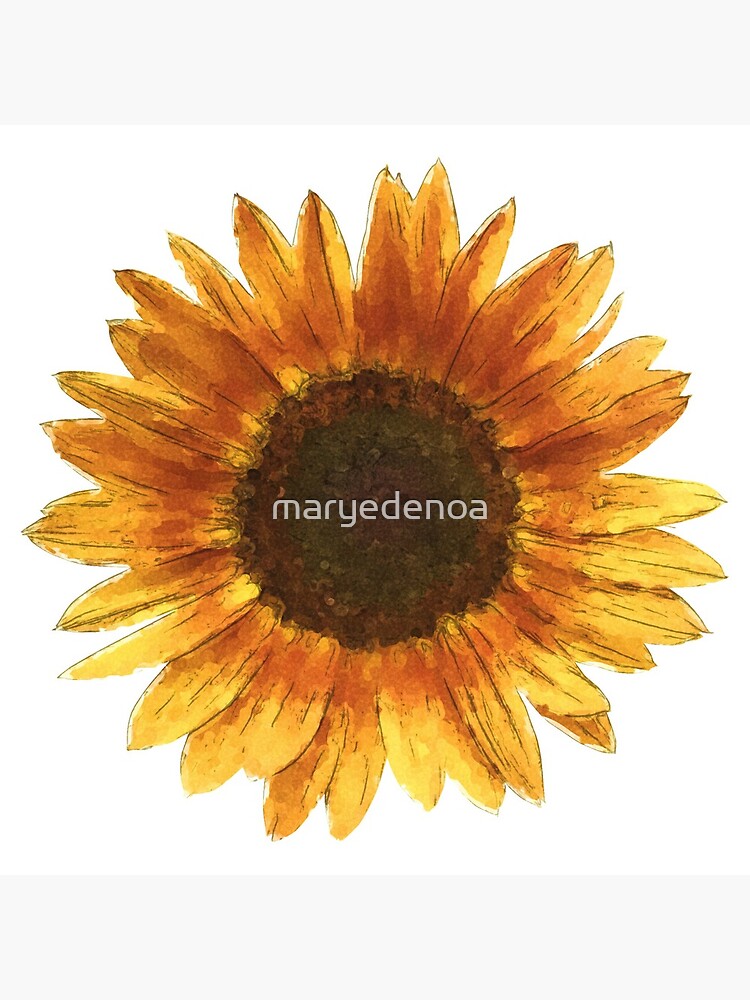 Sunflower by maryedenoa