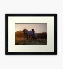 Stomping Ground Framed Print