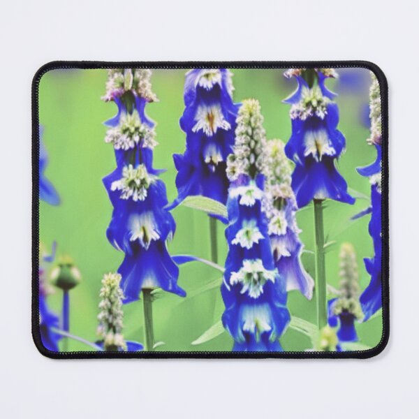 Item preview, blue delphinium flowers designed and sold by starfishstuff.