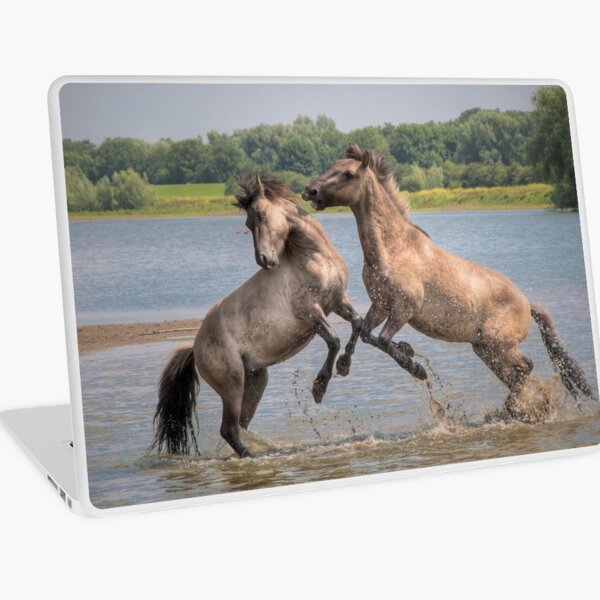 The Bachelor Party Laptop Skin