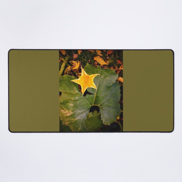 Item preview, Pumpkin flower designed and sold by Ivy-Bindig.