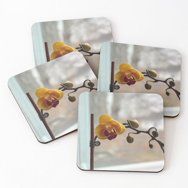 Item preview, Orchid in Bloom designed and sold by withEphoto.
