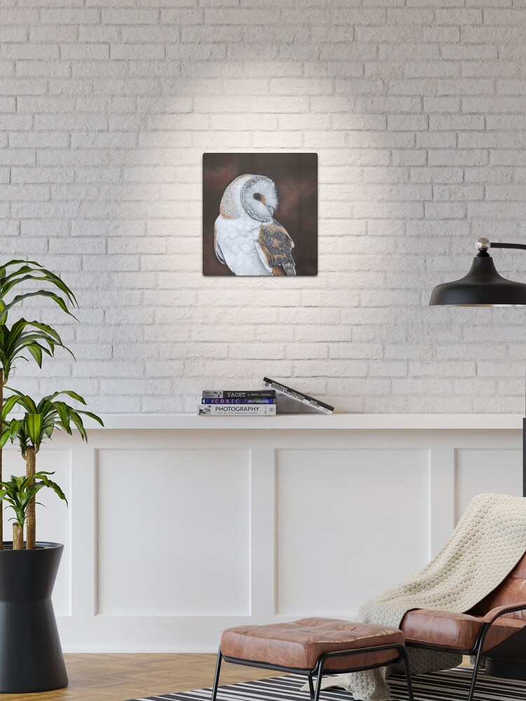 Thumbnail 1 of 4, Metal Print, Barn Owl designed and sold by Louise De Masi.