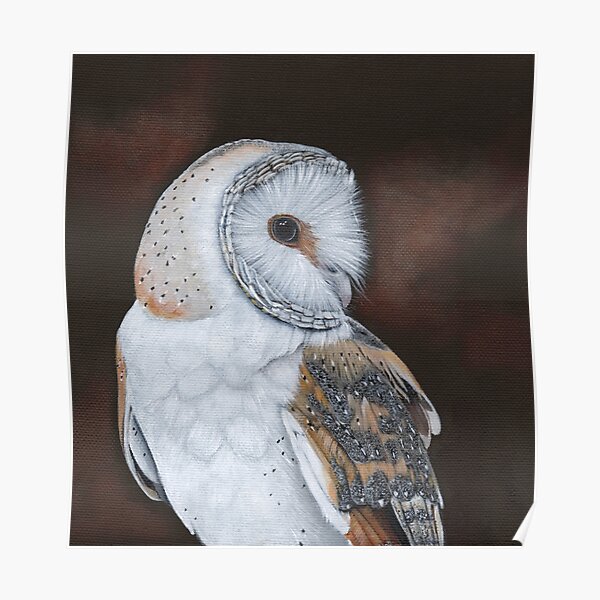Beautiful Barn Owl Poster Black and White Print A4 Size Picture