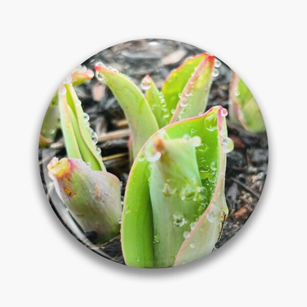 Item preview, Bulbs Burst Through designed and sold by withEphoto.