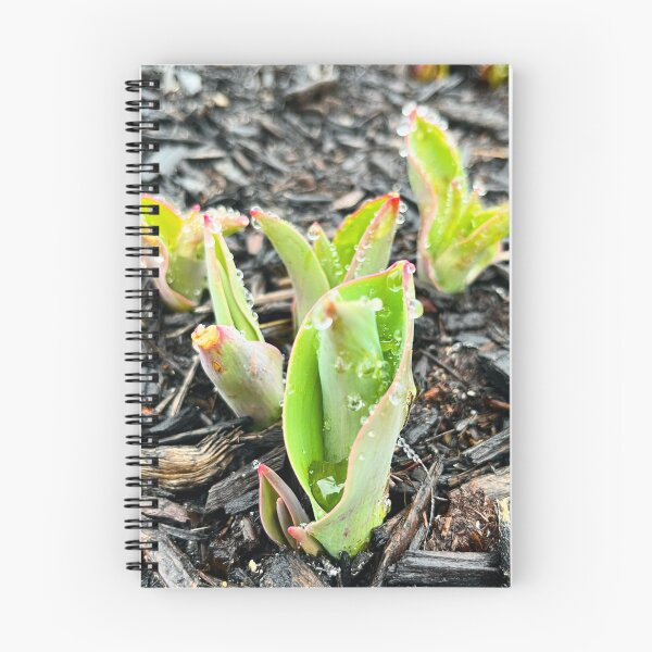 Item preview, Bulbs Burst Through designed and sold by withEphoto.