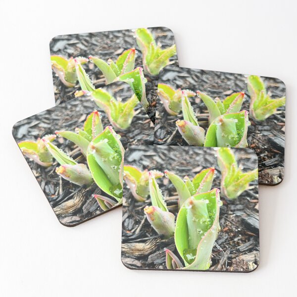 Item preview, Bulbs Burst Through designed and sold by withEphoto.