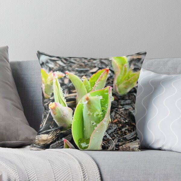 Item preview, Las bombillas estallaron designed and sold by withEphoto.