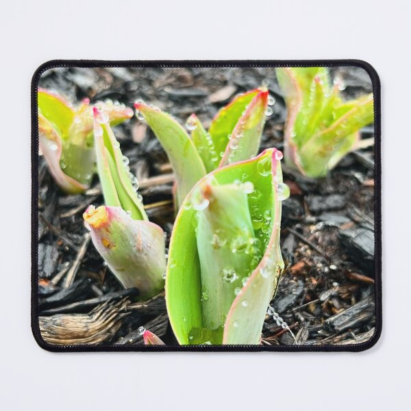 Item preview, Bulbs Burst Through designed and sold by withEphoto.