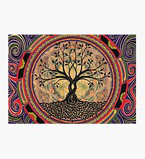 Life:Tree Photographic Print