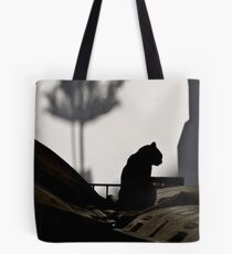 Cat and Shadows Tote Bag