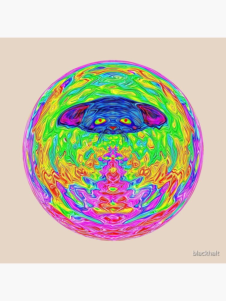Unidentified Flying CatBat by blackhalt
