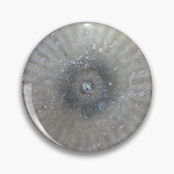Item preview, Crinoid Ossicle designed and sold by Pr0teusUnbound.