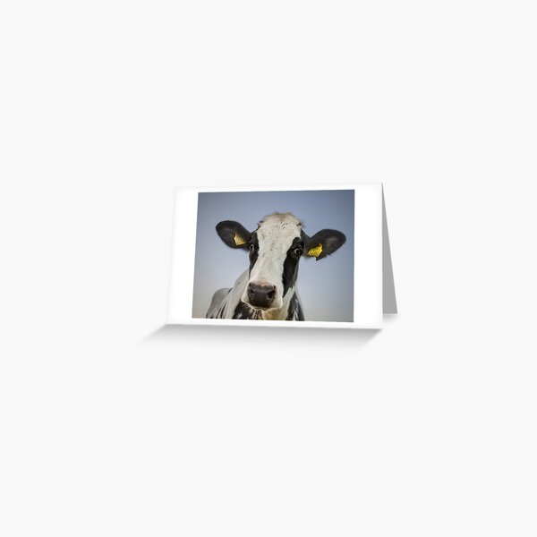 The cow Greeting Card