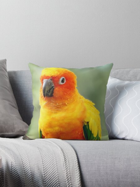 Item preview, Sun Conure designed and sold by Didi Bingham.