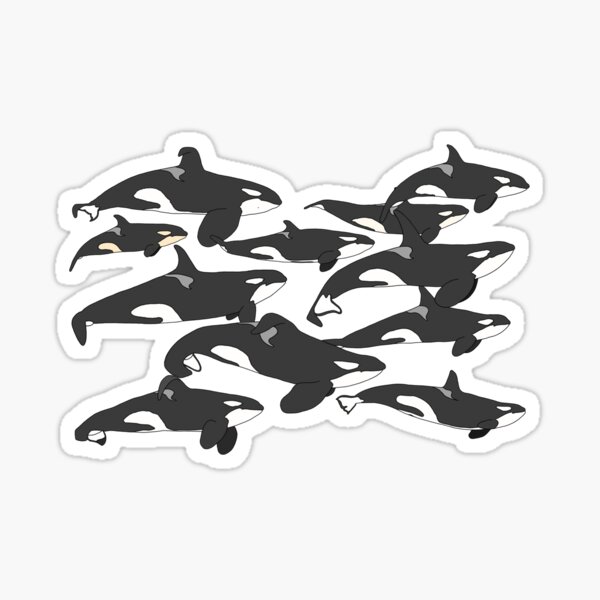 Seaworld Merch & Gifts for Sale | Redbubble