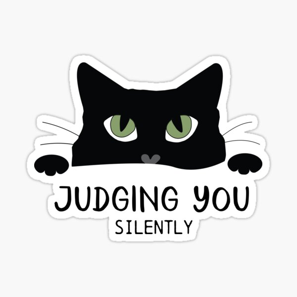 Silently Judging You Funny Cat Mug – Original Sock Dogs