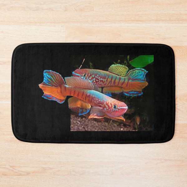 Item preview, Gularis Killifish designed and sold by killies.