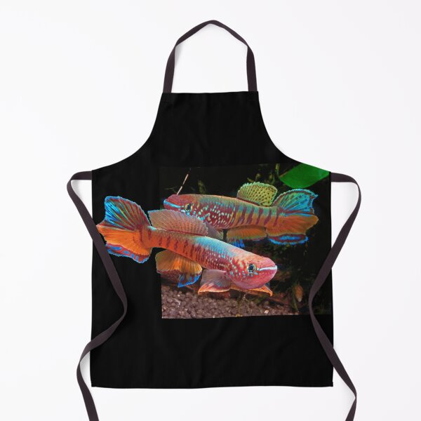 Item preview, Gularis Killifish designed and sold by killies.