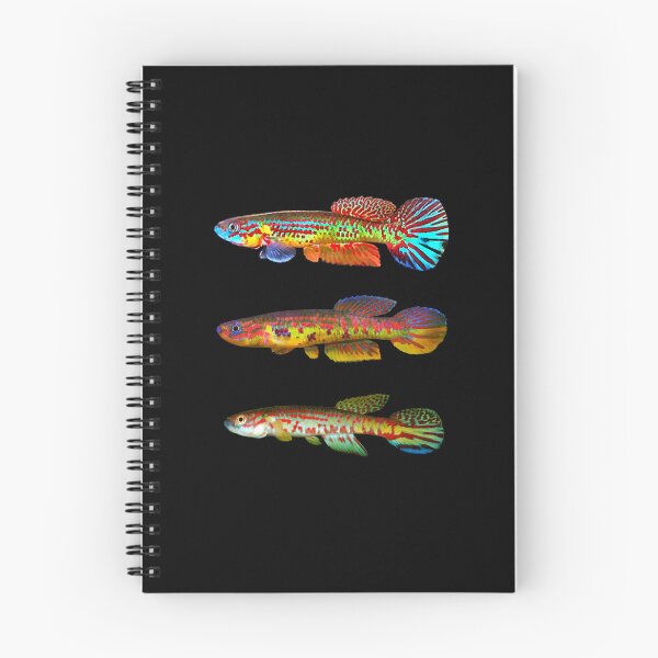 Item preview, Herzogi species group designed and sold by killies.