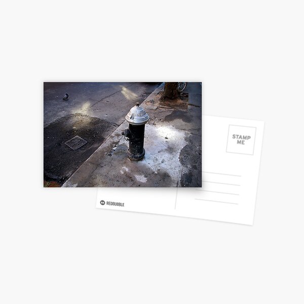 Pigeon Tracks Postcard