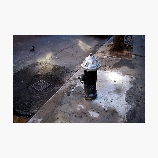 Pigeon Tracks Photographic Print
