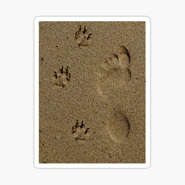 Item preview, Man's Best Friend - {For Dog Lovers :-) } designed and sold by phigment-art.