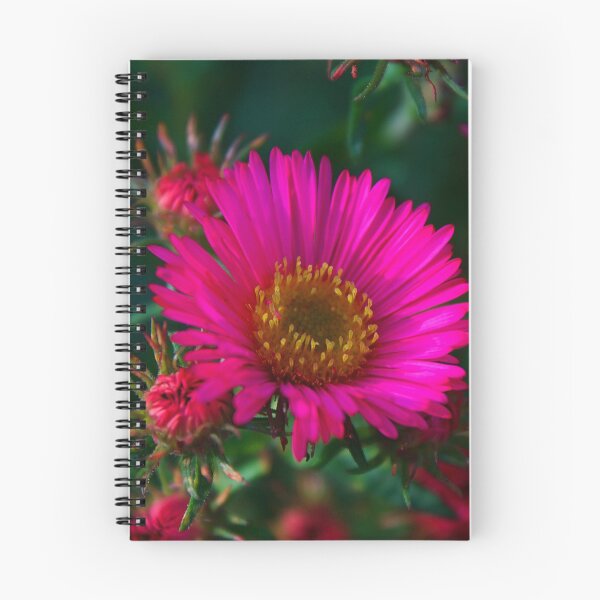 Item preview, Pink Aster designed and sold by Jacob Schouten.