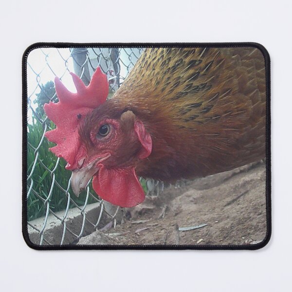 Item preview, the Chook designed and sold by RogerRoy.