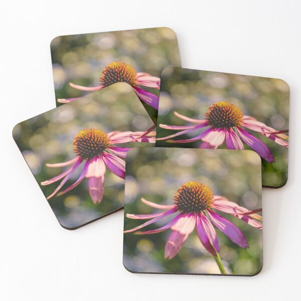 Item preview, Echinacea October Sun designed and sold by Alisonchambers2.