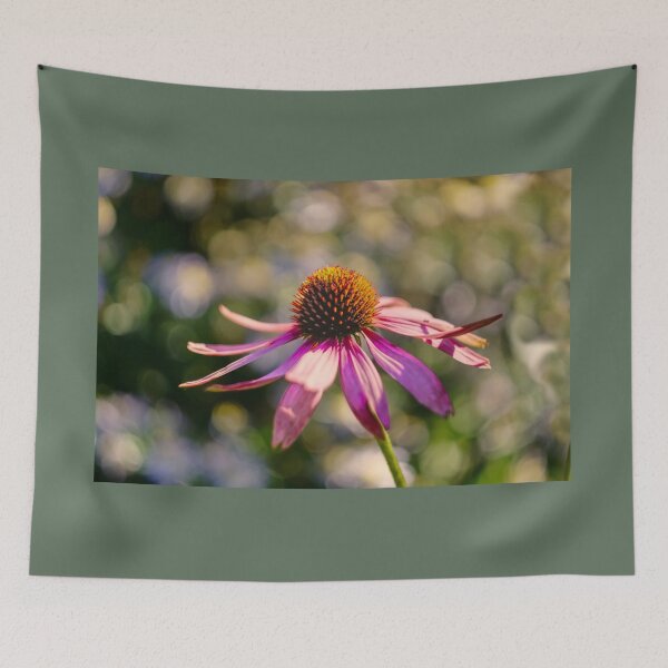 Item preview, Echinacea October Sun designed and sold by Alisonchambers2.